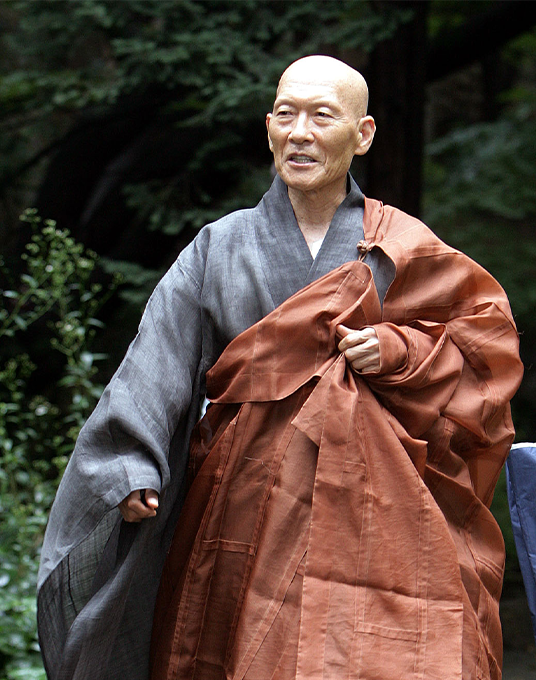 작가이미지